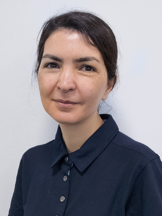 Mehrangiz Sheikhabbasi Mamaghani